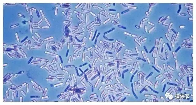 68b94c5487f1c.jpg 23.jpg